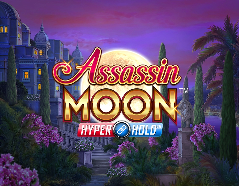 Play Assassin Moon